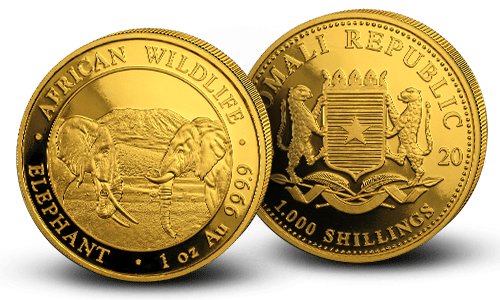 Two Gold Somalian Elephant coins, displaying the classic obverse and reverse in great detail.