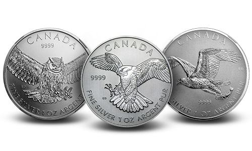 A picture of the Canadian Birds of Prey coin series