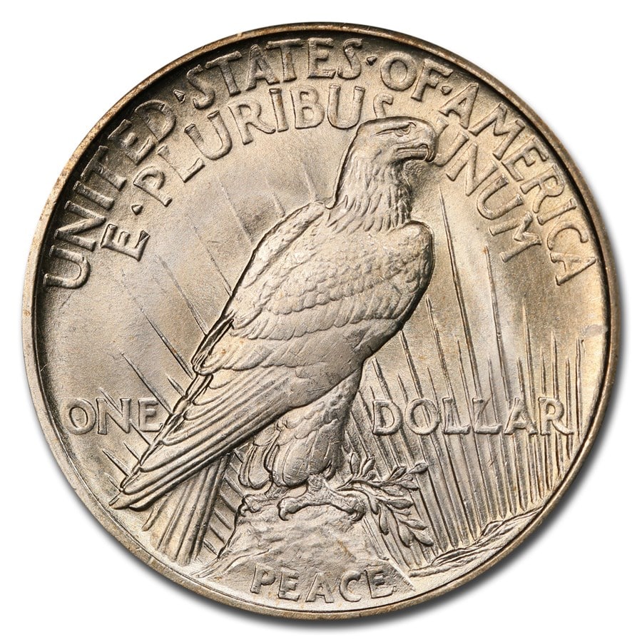 How Much are (Vintage!) Silver Dollars Worth?