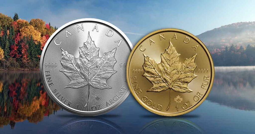For this discussion on gold weight vs silver weight, gold and silver Maple Leaf coins are featured.