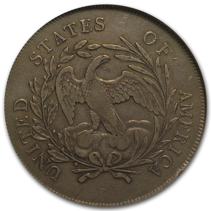 flowing hair dollar reverse