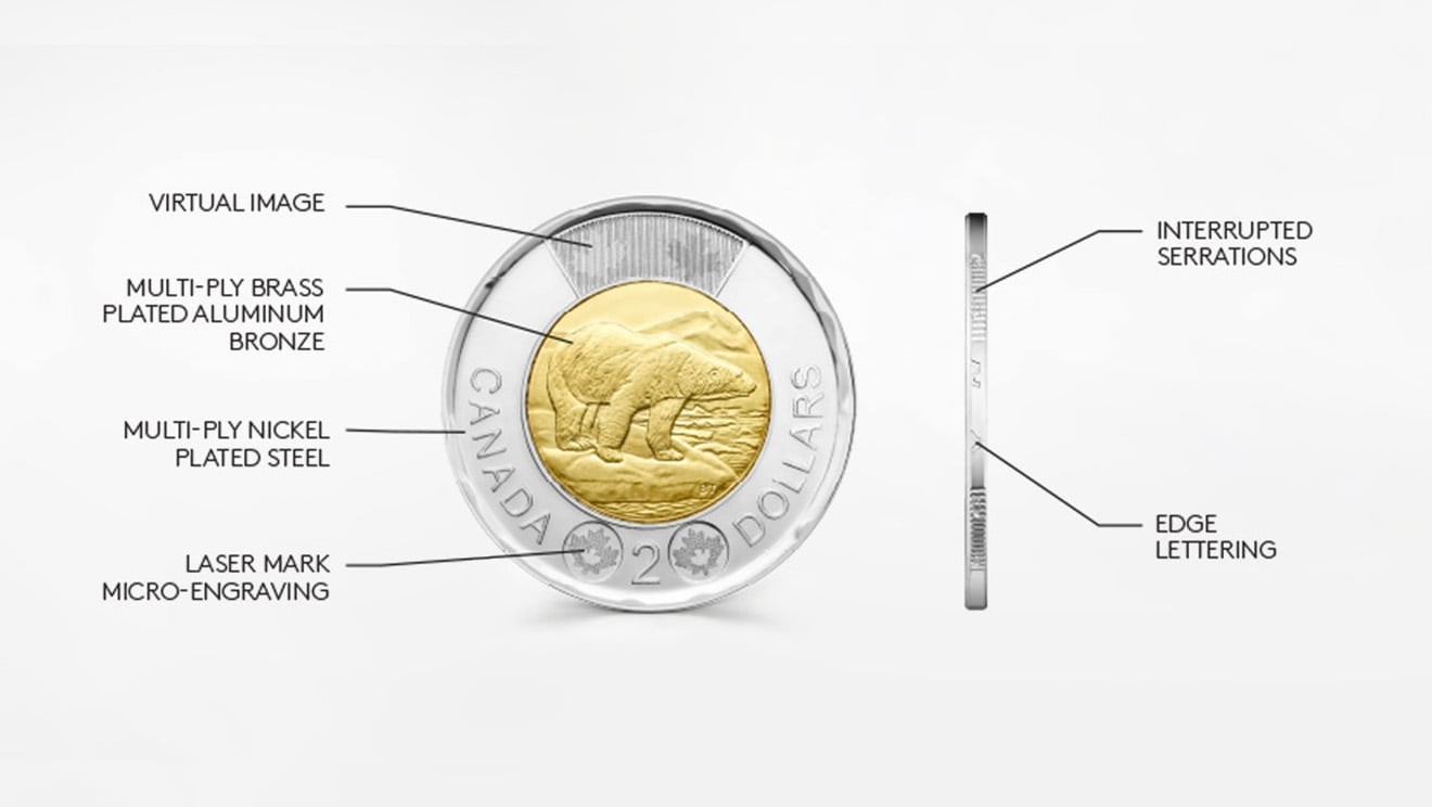 Infographic of each part of the design for the toonie